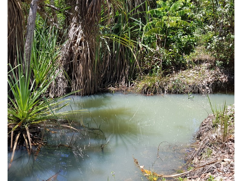 Lot 2 Attie Creek Road, Cardwell QLD 4849