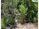 Lot 2 Attie Creek Road, Cardwell QLD 4849