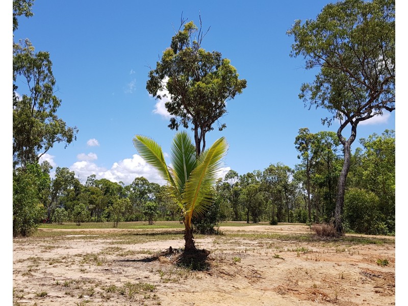 Lot 2 Attie Creek Road, Cardwell QLD 4849