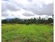 Lot 171 Bruce Hwy, Ellerbeck QLD 4816