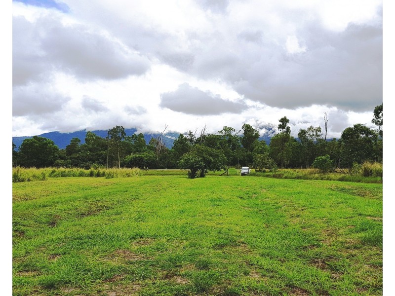 Lot 171 Bruce Hwy, Ellerbeck QLD 4816