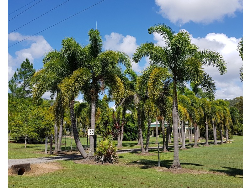 158 Stony Creek Road, Cardwell QLD 4849