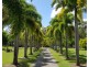 158 Stony Creek Road, Cardwell QLD 4849
