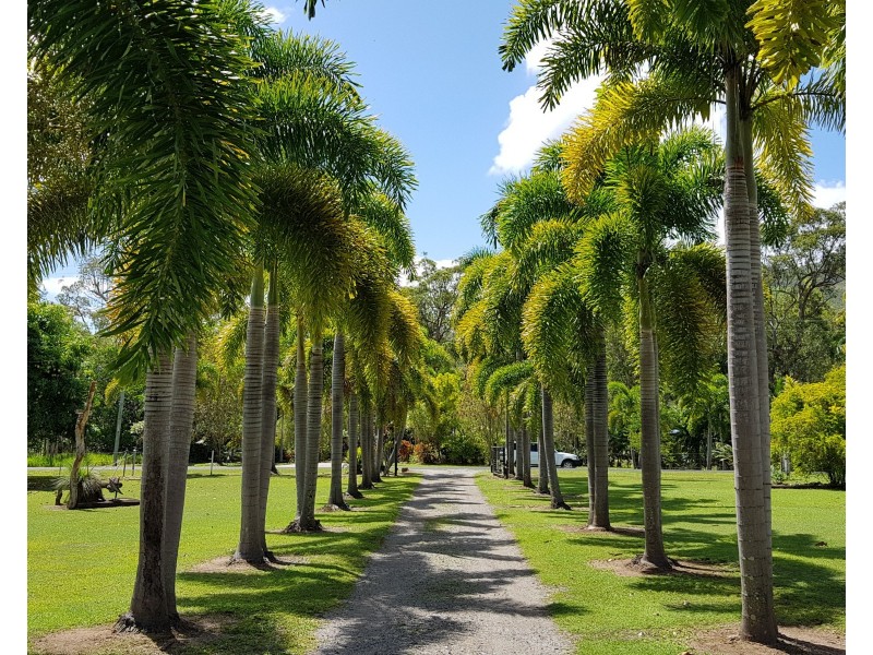 158 Stony Creek Road, Cardwell QLD 4849