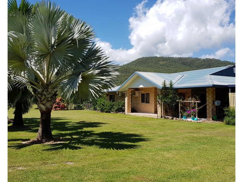 Lot 4 Curlew St, Cardwell QLD 4849