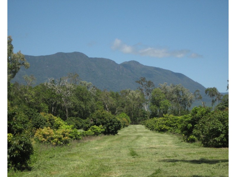 Lot 3 Lily Creek Road, Ellerbeck QLD 4816