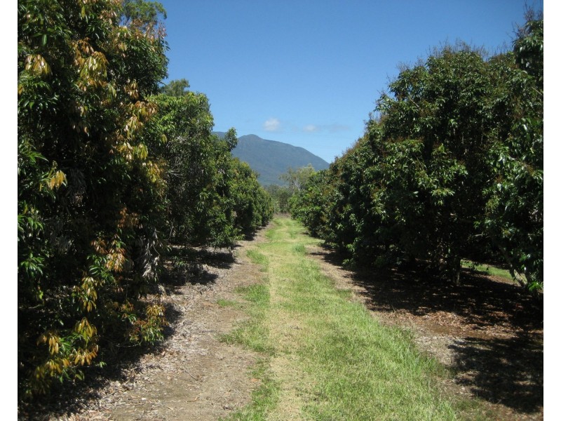 Lot 3 Lily Creek Road, Ellerbeck QLD 4816