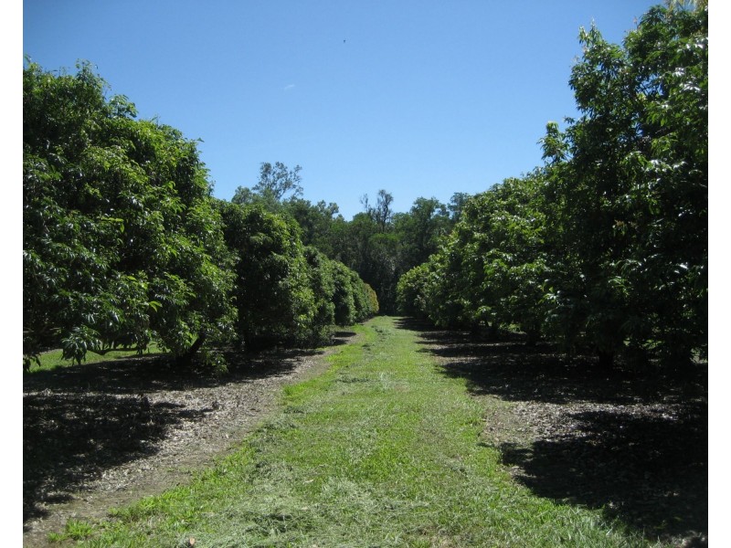 Lot 3 Lily Creek Road, Ellerbeck QLD 4816