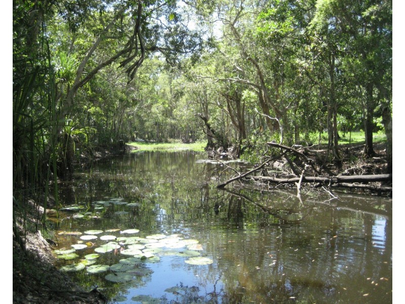 Lot 3 Lily Creek Road, Ellerbeck QLD 4816