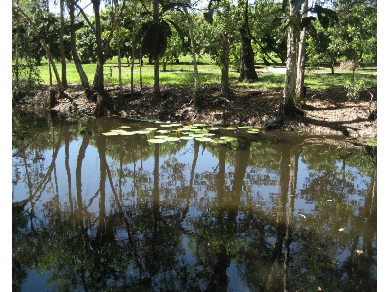 Lot 3 Lily Creek Road, Ellerbeck QLD 4816