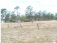 Lot 16, 38-44 Greenview Road, Wondai QLD 4606