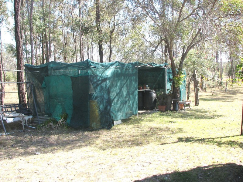 Ballogie QLD 4610