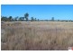 Lot 123, 216 Kofoeds Road, Tara QLD 4421