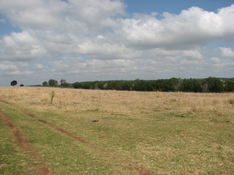 Lot 28, Lot 28 Ferris Street, Murgon QLD 4605