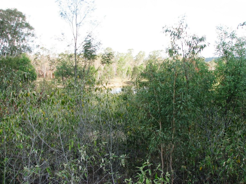 Ballogie QLD 4610