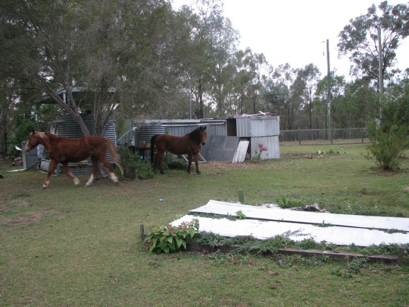 Ballogie QLD 4610