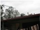 Ballogie QLD 4610