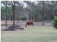 Ballogie QLD 4610
