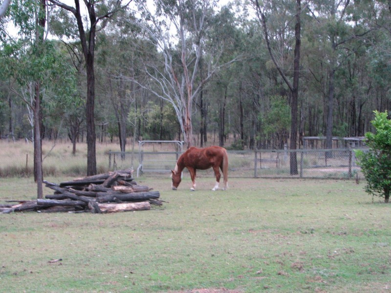 Ballogie QLD 4610