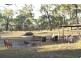 87 Mckenzie Road, Wilkesdale QLD 4608