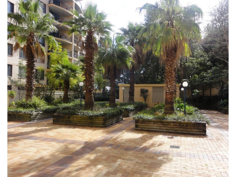31/120-122 Saunders Street, Pyrmont NSW 2009