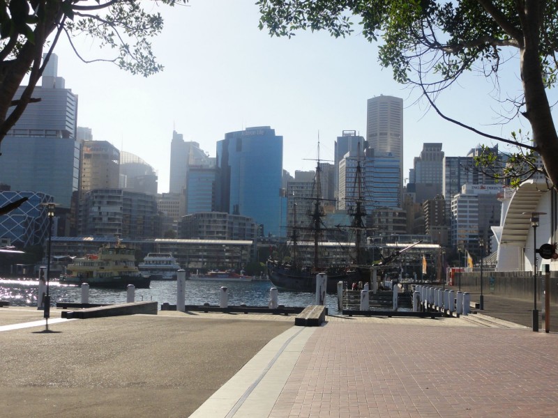 14/209 Harris Street, Pyrmont NSW 2009