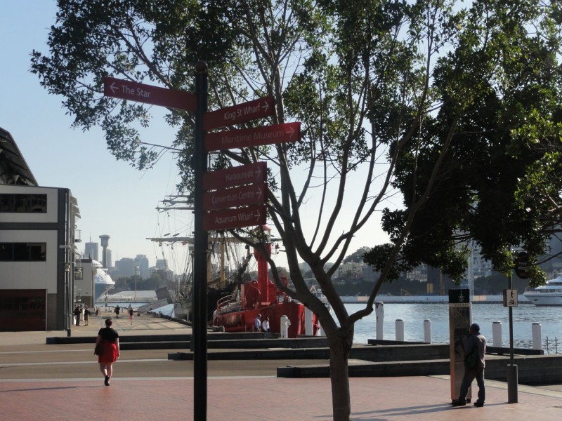 14/209 Harris Street, Pyrmont NSW 2009