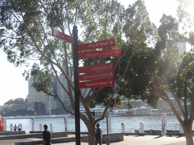 14/209 Harris Street, Pyrmont NSW 2009