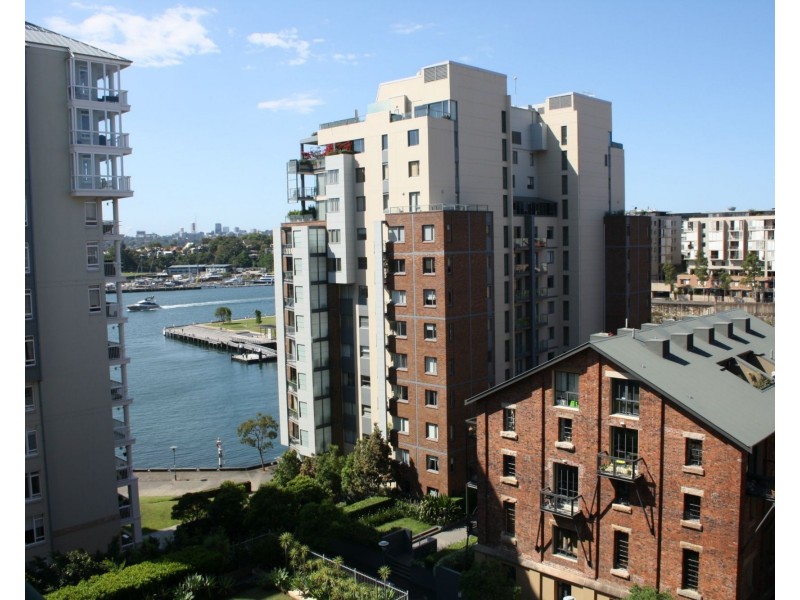 1011/66 Bowman Street, Pyrmont NSW 2009