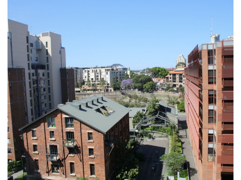 1011/66 Bowman Street, Pyrmont NSW 2009