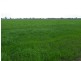 Mundoona VIC 3635