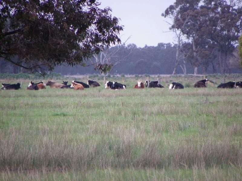 Mundoona VIC 3635