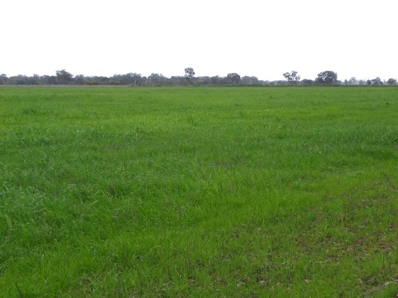 Mundoona VIC 3635