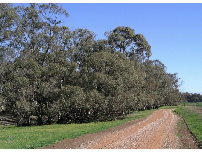 Echuca VIC 3564