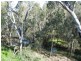 Cobram VIC 3644