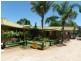 Robinvale VIC 3549