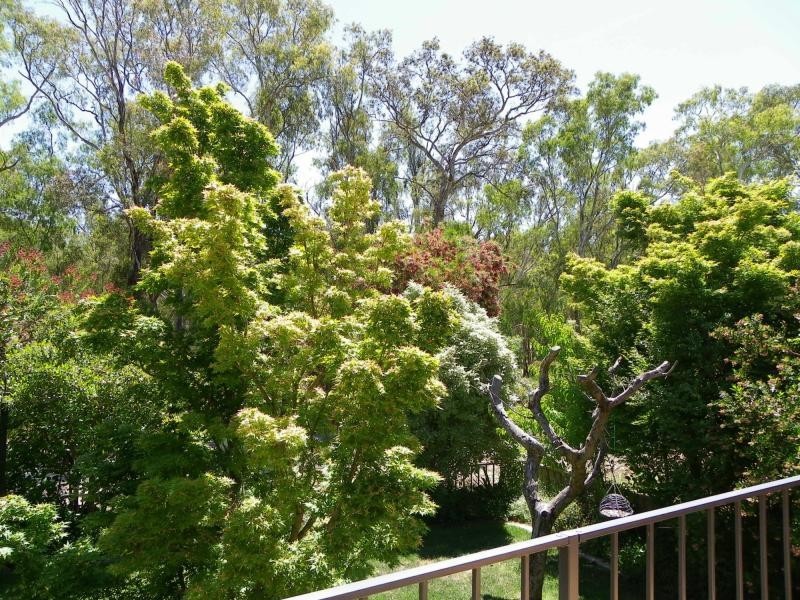 2 View Court, Cobram VIC 3644