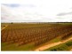 Cobram VIC 3644