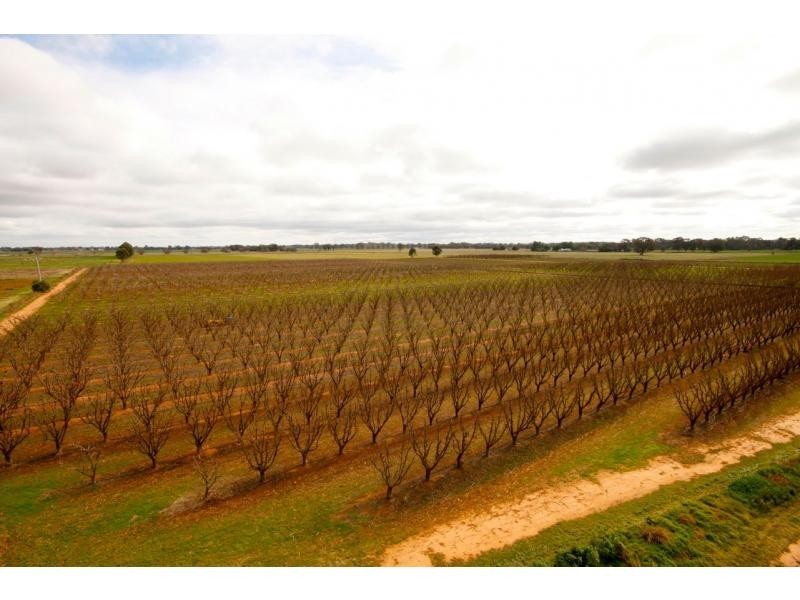 Cobram VIC 3644