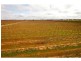 Cobram VIC 3644