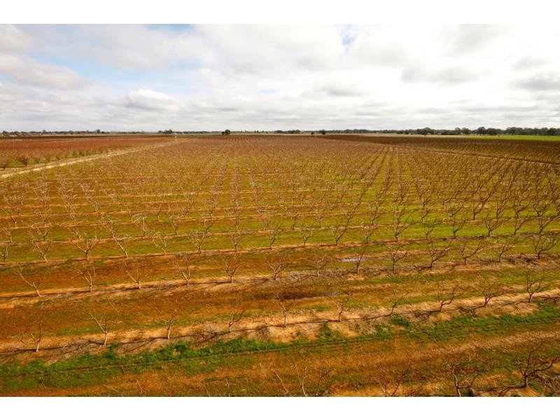 Cobram VIC 3644