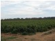 Cobram VIC 3644