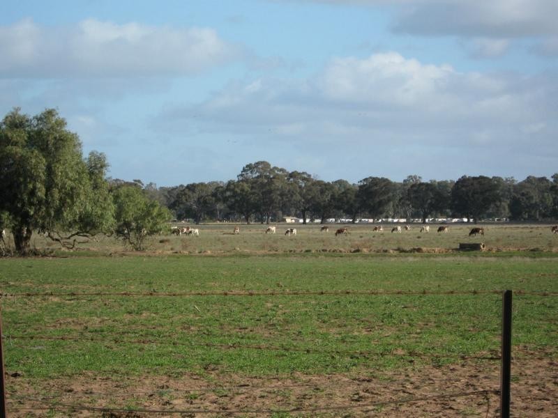 Tocumwal NSW 2714