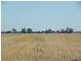 Barooga NSW 3644