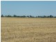 Barooga NSW 3644