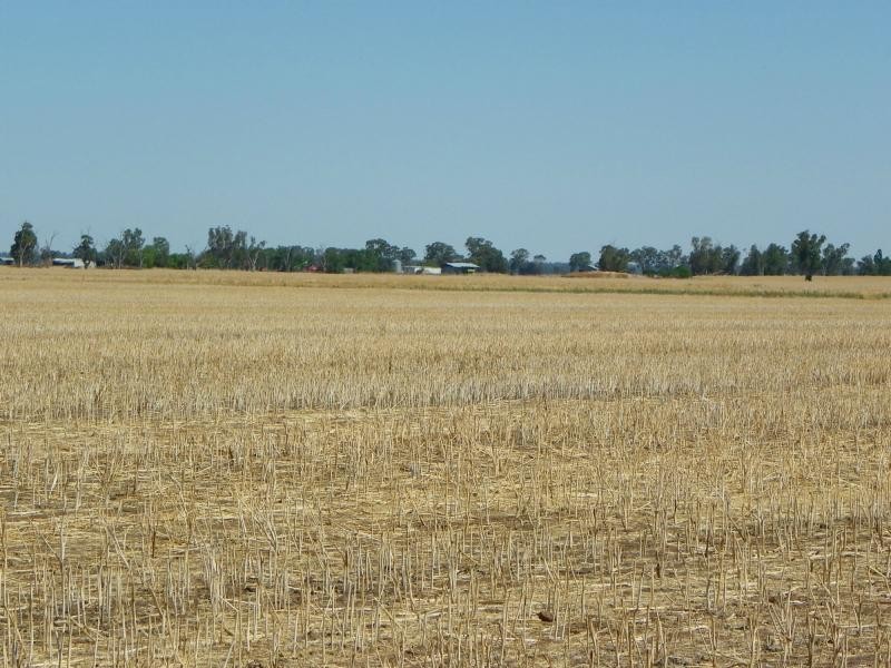 Barooga NSW 3644