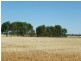 Barooga NSW 3644