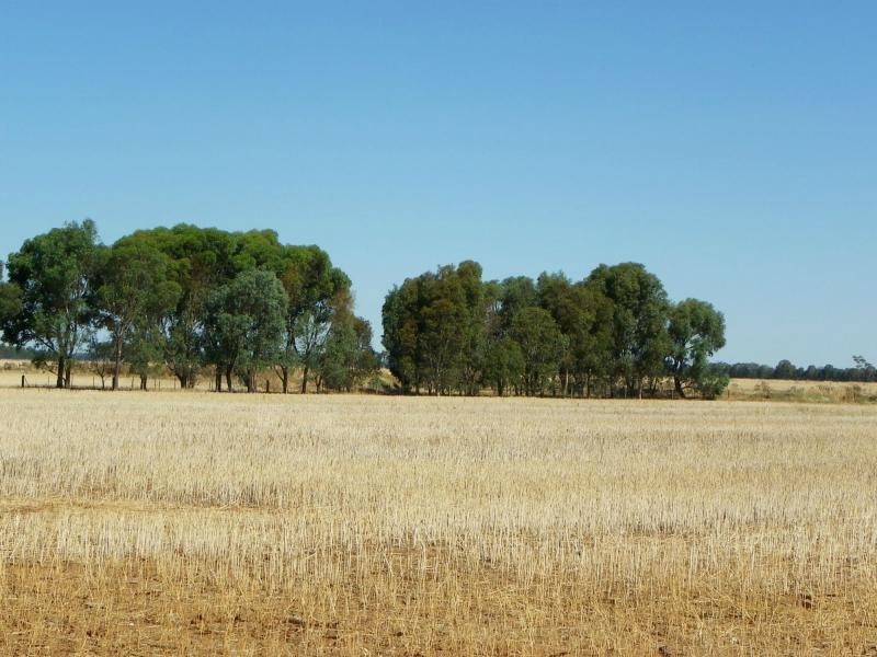 Barooga NSW 3644
