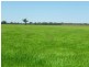 Finley NSW 2713
