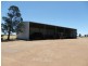 Finley NSW 2713